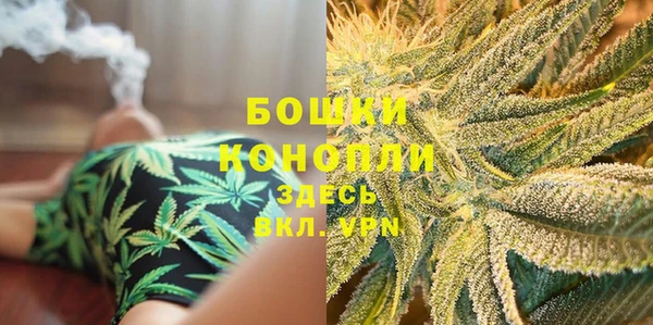 гидра Переславль-Залесский